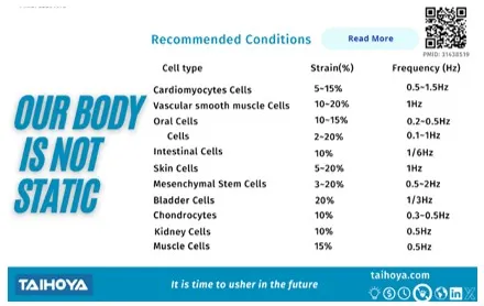 ATMS - Our Body Is Not Static