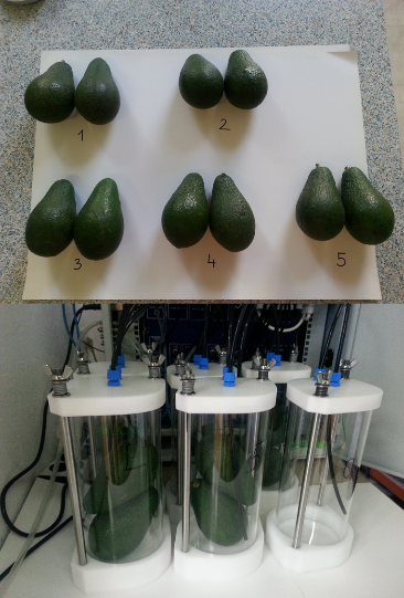 生物可分解性測定儀(Respirometer)